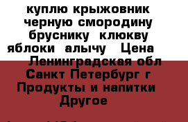 куплю крыжовник, черную смородину, бруснику, клюкву, яблоки, алычу › Цена ­ 100 - Ленинградская обл., Санкт-Петербург г. Продукты и напитки » Другое   